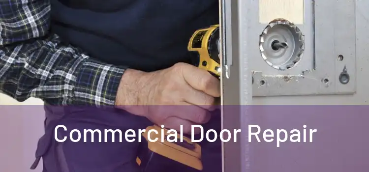 Commercial Door Repair